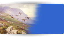 British Bird Artists